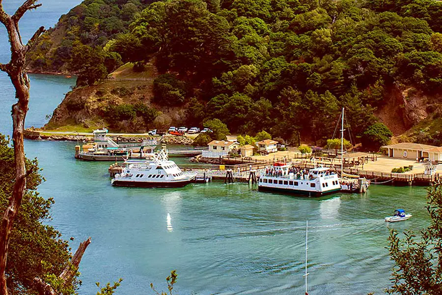 Tourists boats docked at harbor