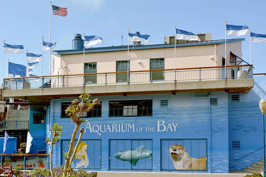 Aquarium of the Bay located at Pier 39