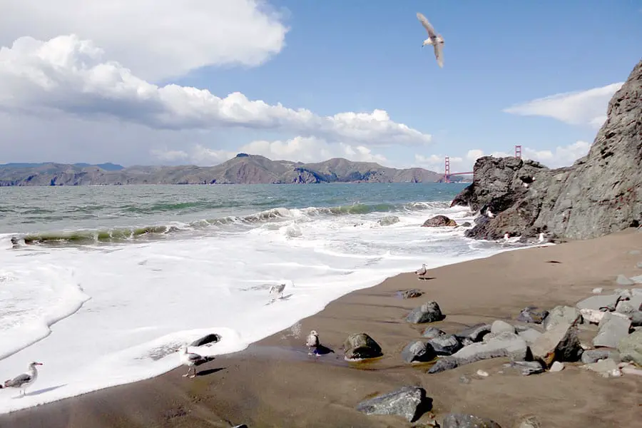 Rocky shore at China Cove Beach