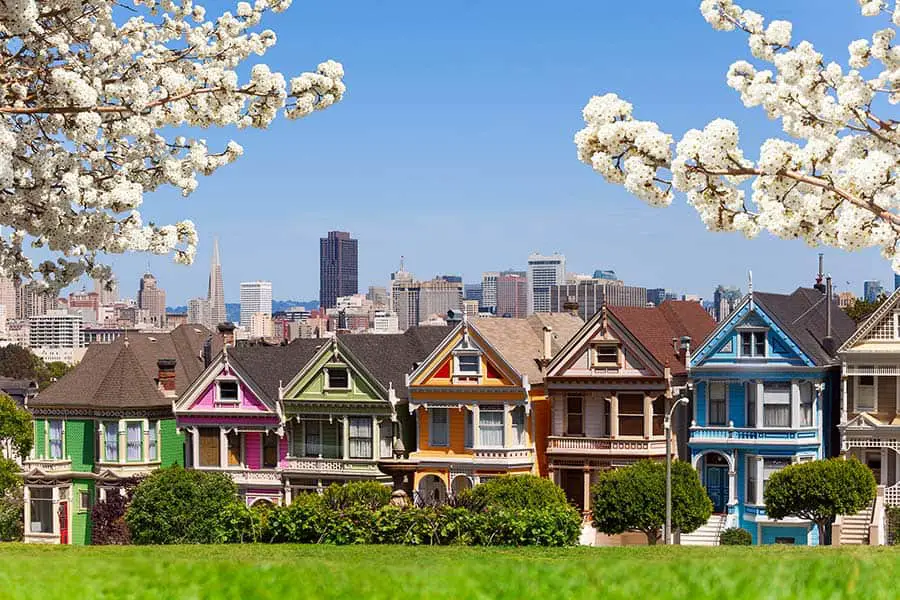 Cherry blossoms frame row of brightly colored houses