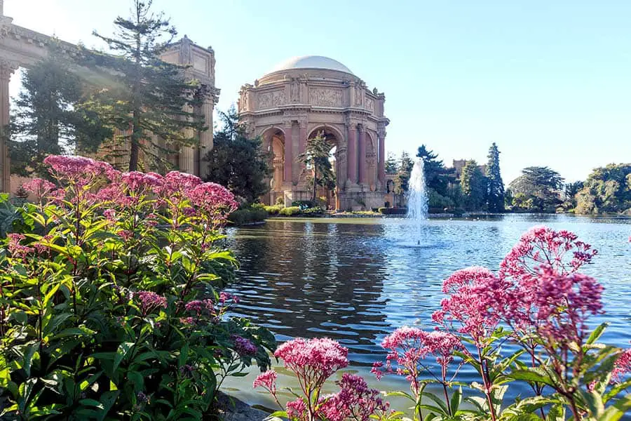 Pink flowers on edge of pool in front of the Palace of Fine Arts
