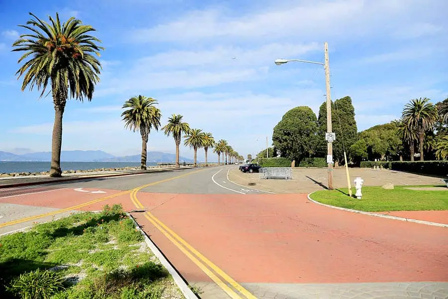 Palm trees line road on seafront