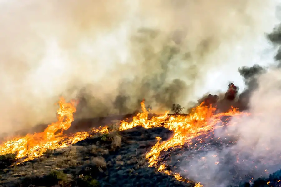 Orange flames and smoke from a wildfire