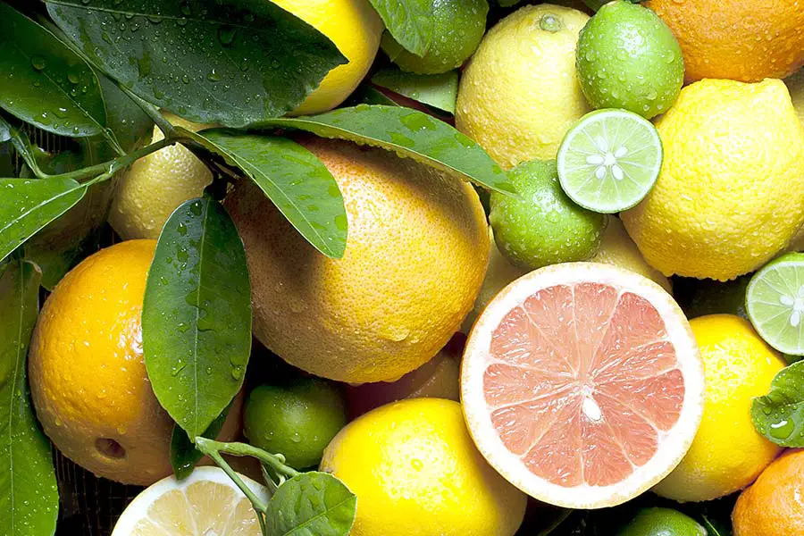 Mixture of citrus with leaves and sliced fruit