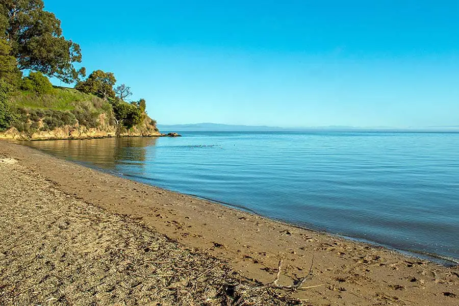 Coastline at San Pablo Bay