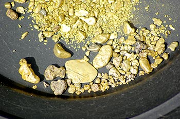Gold nuggets in pan