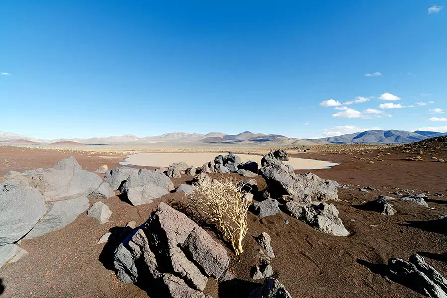 Coso Volcanic Field