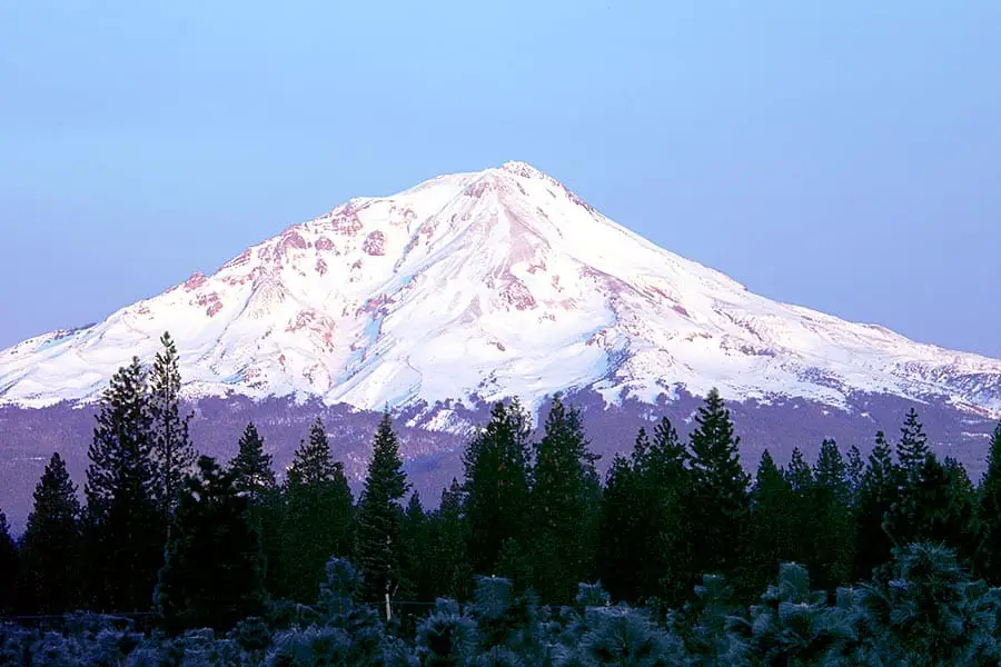 Snow capped Mount Shasta rising above forest
