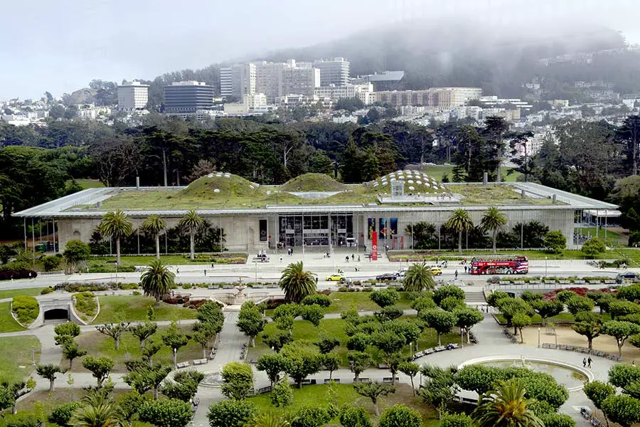 Birdseye view of gardens at the California Academy of Sciences, city skyline in background