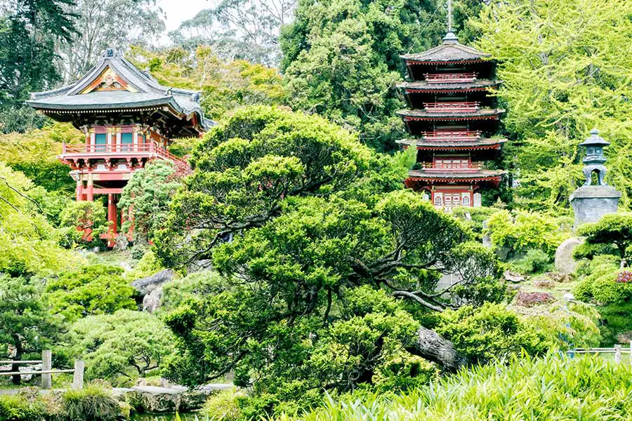 Beautiful Japanese garden and buildings