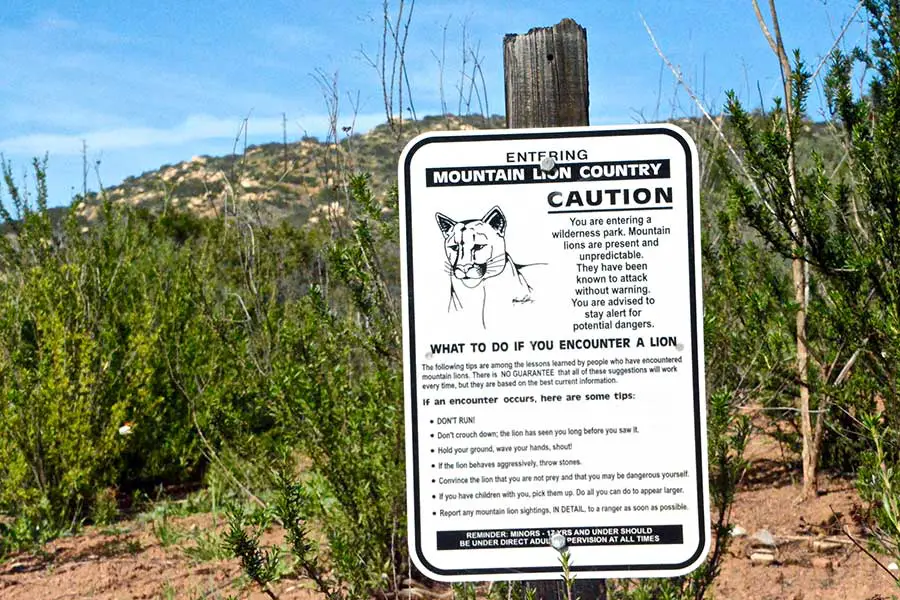 Mountain Lion country warning sign