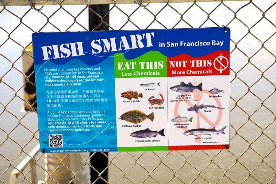 Fish smart sign showing which bay fish are good to eat and which ones to avoid