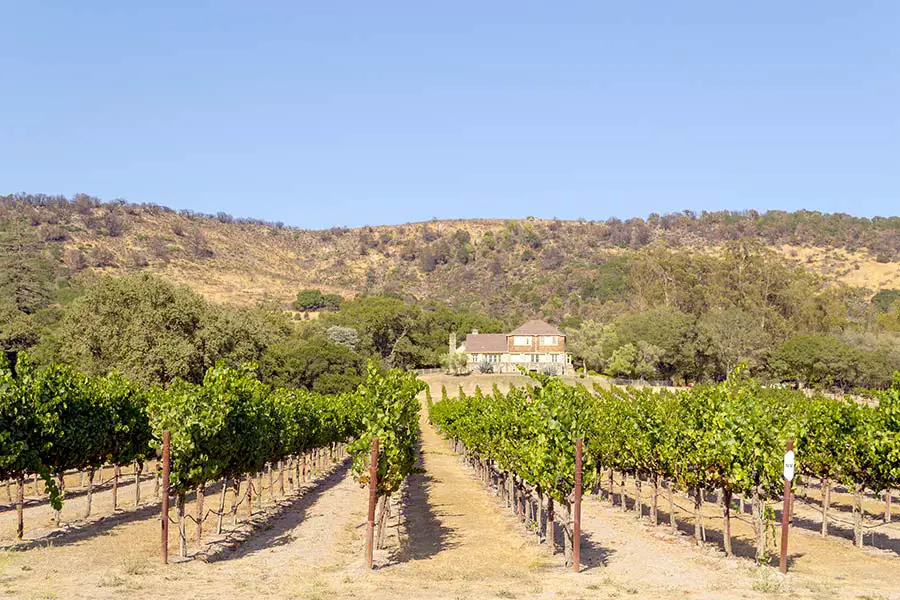 Sonoma Valley vineyard