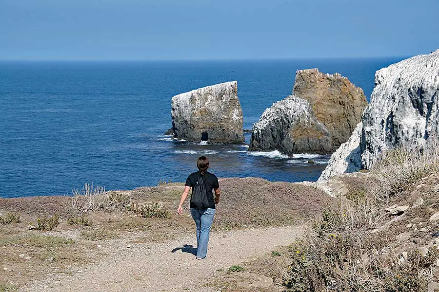 Woman on walking trail overlooking the ocean on Anacapa Island