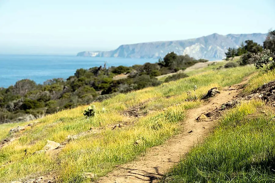 Hiking trail on Santa Cruz Island