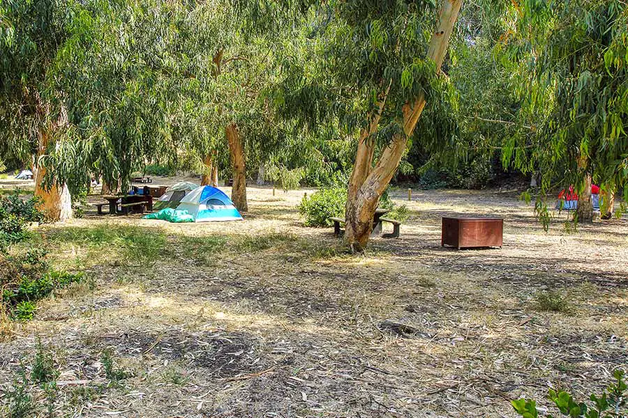 Tents pitched under the tree at Scorpion Canyon campground