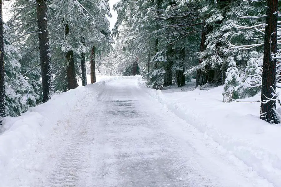 Snow covered road to Lake Tahoe flanked by trees